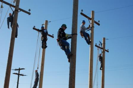 Brian's line of duty