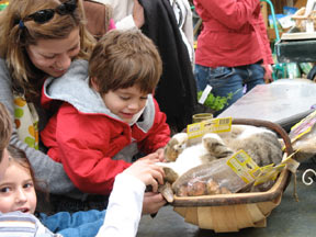 English Market: Please Mommy Can I have her???