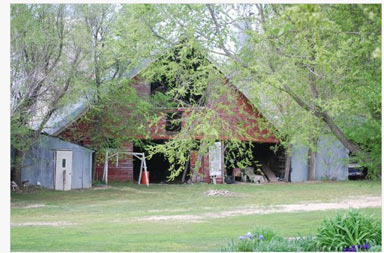 My Favorite Picture:  The barn circa 1909
