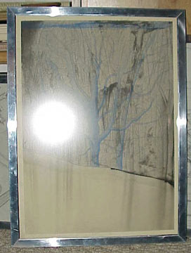 The White Flash is not in the picture.  Owned by Kathy